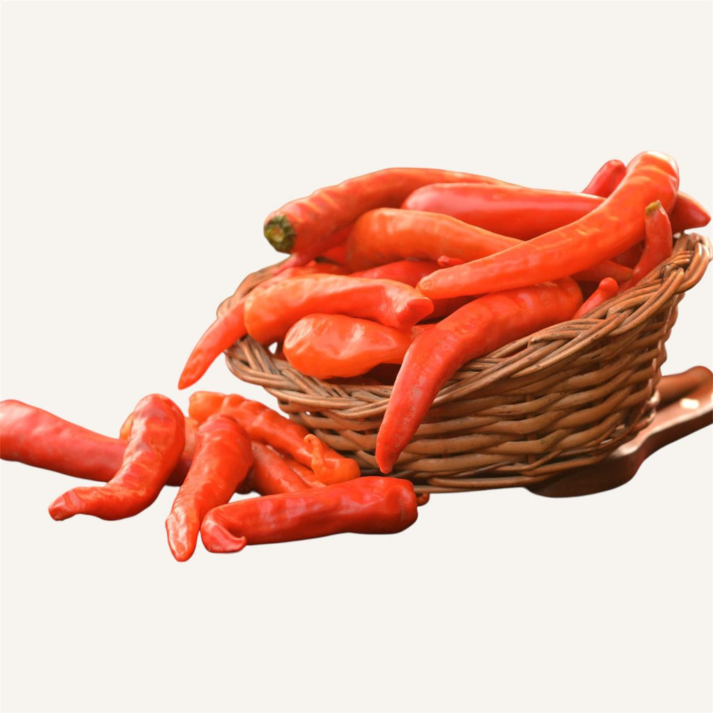 Kashmiri Chilli